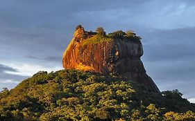 Mango Villa Sigiriya